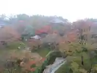 将軍塚青龍殿(青蓮院門跡)の庭園