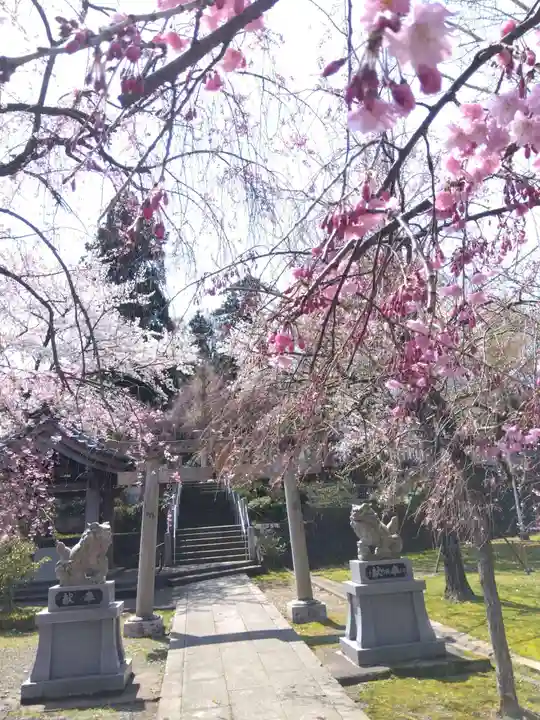熊野神社(福井県)