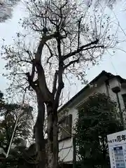 蛇窪神社(東京都)