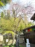 真光寺(千葉県)