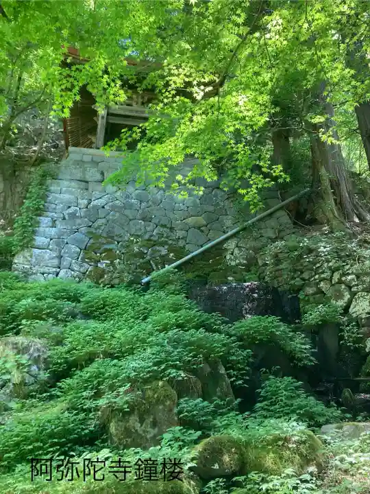 阿弥陀寺(長野県)