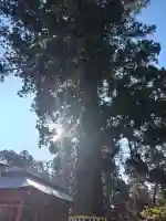 志波彦神社・鹽竈神社の{uncategorized: "未分類", other: "その他", undefined: "問題あり", building: "その他建物", grave: "お墓", sacred_gate: "鳥居", guardian: "狛犬", statue: "像", buddha: "仏像", history: "歴史", nature: "自然", garden: "庭園", animal: "動物", pagoda: "塔", temizu: "手水舎", mountain_gate: "山門・神門", sanctuary: "本殿・本堂", subordinate: "末社・摂社", art: "芸術", scenery: "景色", jizo: "地蔵", ema: "絵馬", goshuin: "御朱印", omikuji: "おみくじ", items: "授与品その他", amulet: "お守り", goshuincho: "御朱印帳", eats: "食事", festival: "お祭り", votive_dance: "神楽", shichigosan: "七五三参", wedding: "結婚式", experience: "体験その他", initially: "初詣", around: "周辺", anti_infection: "感染症対策"}