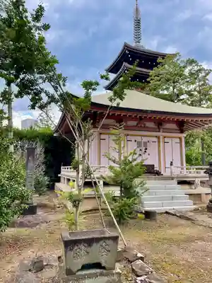 長禅寺(山梨県)