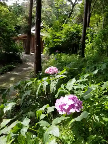 宮前御霊神社の自然