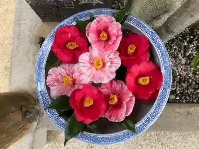 彦嶽宮(熊本県)