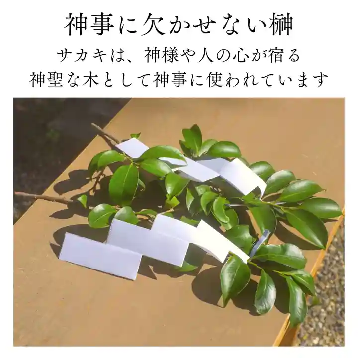 諫早神社(九州総守護 四面宮)のその他建物