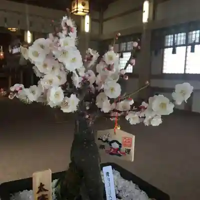 彌彦神社 (伊夜日子神社)のお祭り