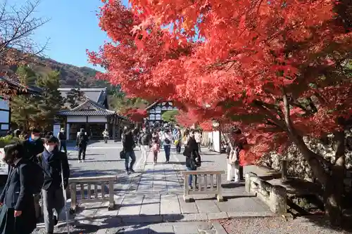 天龍寺のその他建物