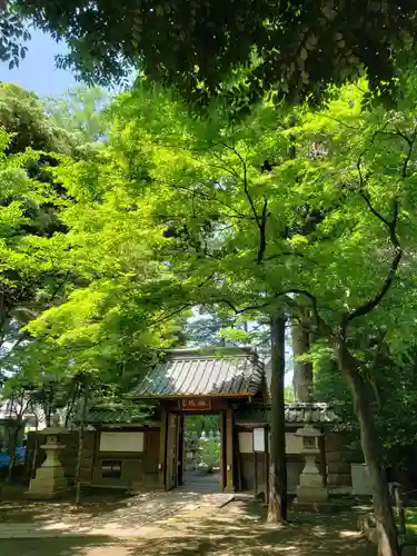 妙法寺の山門