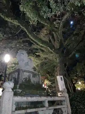 八坂神社(祇園さん)の狛犬