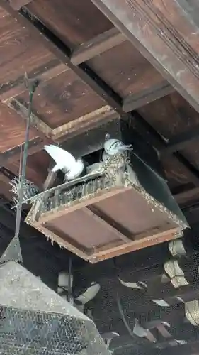 頂法寺（六角堂）(京都府)