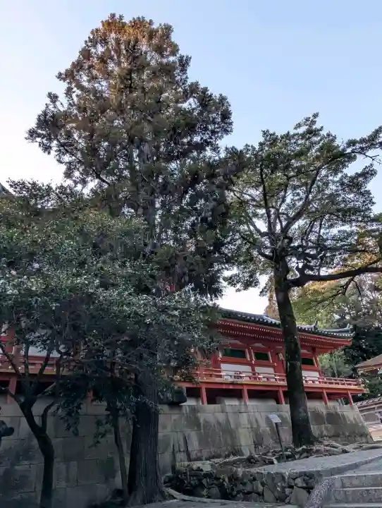石清水八幡宮の{uncategorized: "未分類", other: "その他", undefined: "問題あり", building: "その他建物", grave: "お墓", sacred_gate: "鳥居", guardian: "狛犬", statue: "像", buddha: "仏像", history: "歴史", nature: "自然", garden: "庭園", animal: "動物", pagoda: "塔", temizu: "手水舎", mountain_gate: "山門・神門", sanctuary: "本殿・本堂", subordinate: "末社・摂社", art: "芸術", scenery: "景色", jizo: "地蔵", ema: "絵馬", goshuin: "御朱印", omikuji: "おみくじ", items: "授与品その他", amulet: "お守り", goshuincho: "御朱印帳", eats: "食事", festival: "お祭り", votive_dance: "神楽", shichigosan: "七五三参", wedding: "結婚式", experience: "体験その他", initially: "初詣", around: "周辺", anti_infection: "感染症対策"}