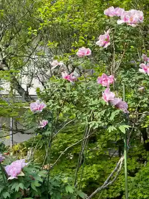松尾寺(京都府)