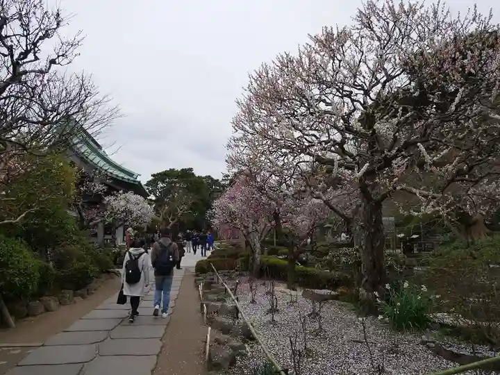 長谷寺のその他建物