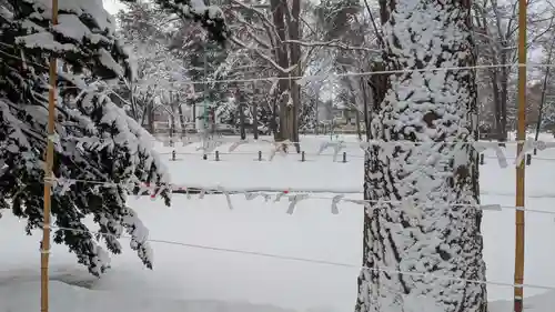 上川神社頓宮のおみくじ