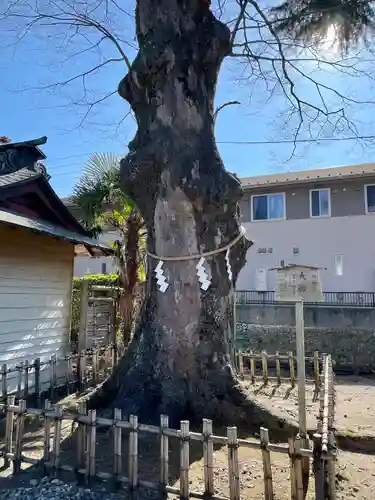 竹駒神社の庭園