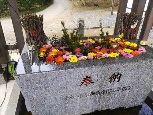 長沼八幡宮(栃木県)