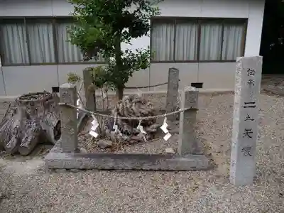 矢田坐久志玉比古神社の自然