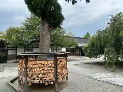 富山縣護國神社の絵馬