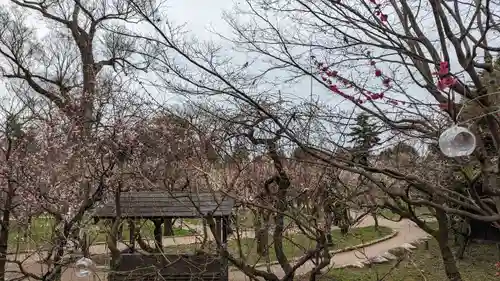 北野天満宮(京都府)