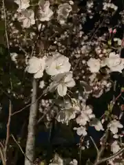 小垣江神明神社の自然