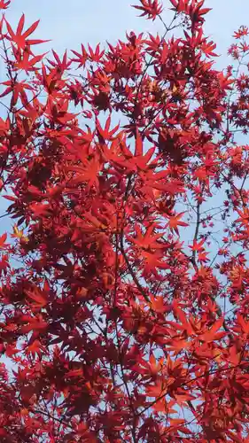 相馬神社(北海道)
