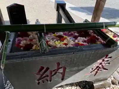 草加神社の手水舎