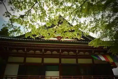 比叡山延暦寺の末社・摂社
