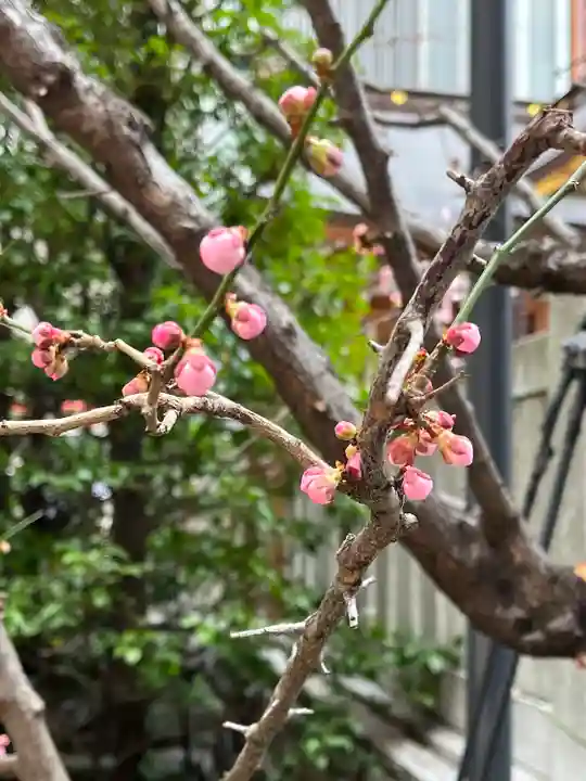 福徳神社(芽吹稲荷)の自然