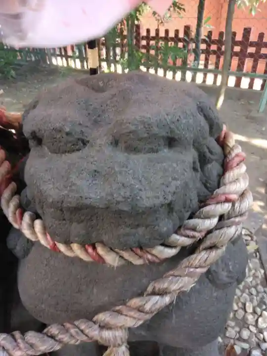 浅草神社の狛犬