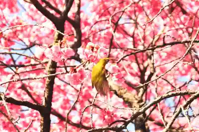 荏原神社(東京都)