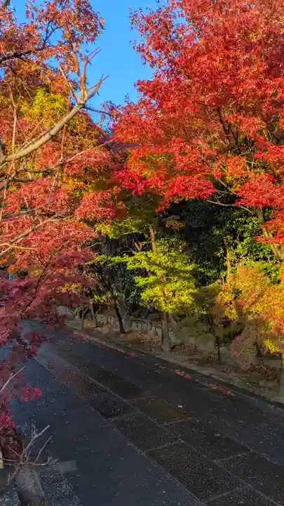 真宗院(京都府)