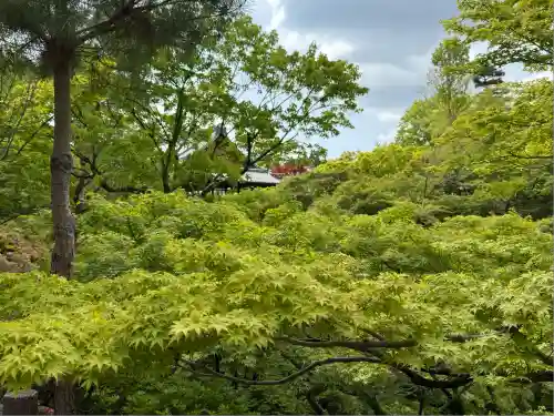 東福禅寺（東福寺）(京都府)