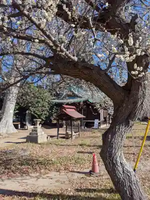 酒門神社(茨城県)