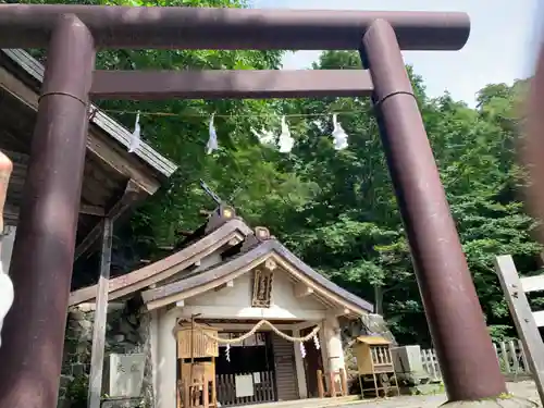 戸隠神社奥社の鳥居