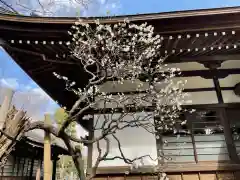 泉龍寺の建物その他