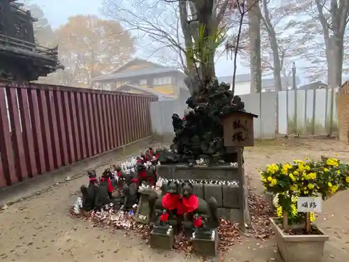 笠間稲荷神社の狛犬