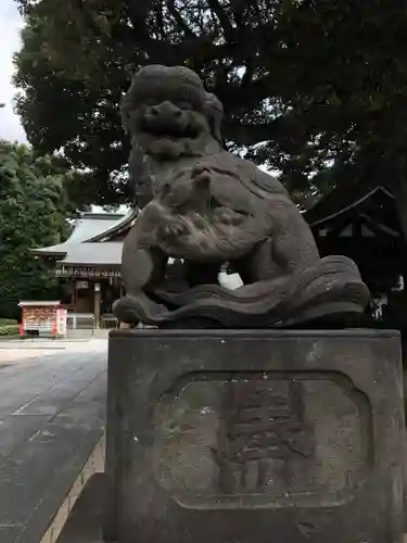 中野沼袋氷川神社の狛犬