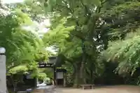 松尾神社(滋賀県)