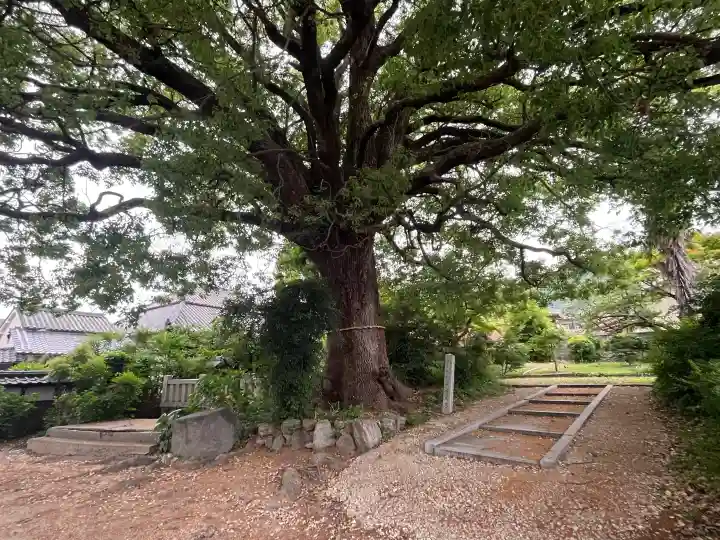 教興寺の{uncategorized: "未分類", other: "その他", undefined: "問題あり", building: "その他建物", grave: "お墓", sacred_gate: "鳥居", guardian: "狛犬", statue: "像", buddha: "仏像", history: "歴史", nature: "自然", garden: "庭園", animal: "動物", pagoda: "塔", temizu: "手水舎", mountain_gate: "山門・神門", sanctuary: "本殿・本堂", subordinate: "末社・摂社", art: "芸術", scenery: "景色", jizo: "地蔵", ema: "絵馬", goshuin: "御朱印", omikuji: "おみくじ", items: "授与品その他", amulet: "お守り", goshuincho: "御朱印帳", eats: "食事", festival: "お祭り", votive_dance: "神楽", shichigosan: "七五三参", wedding: "結婚式", experience: "体験その他", initially: "初詣", around: "周辺", anti_infection: "感染症対策"}