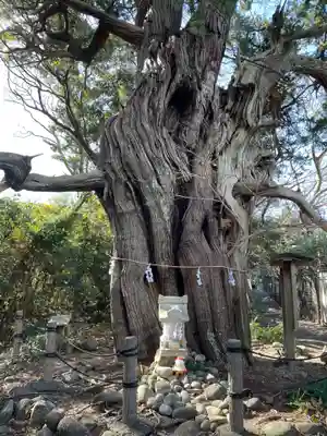 大瀬神社(静岡県)