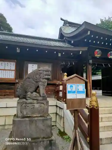 井草八幡宮の狛犬