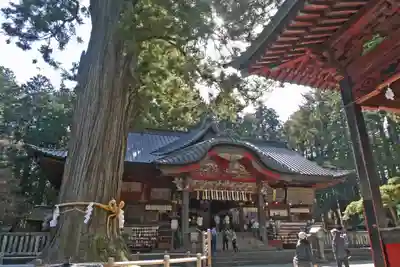 北口本宮冨士浅間神社(山梨県)