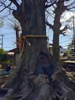 御嶽神社(神奈川県)