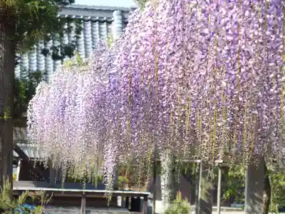 三大神社のその他建物