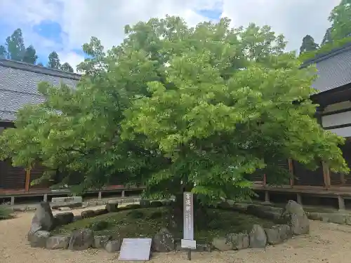 喜見院(滋賀県)