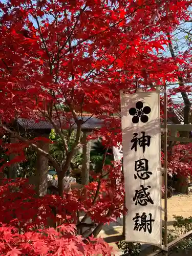 北野天満神社の自然