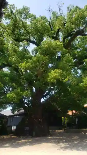 糸碕神社(広島県)