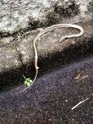 田端神社(東京都)