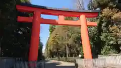 井草八幡宮の鳥居